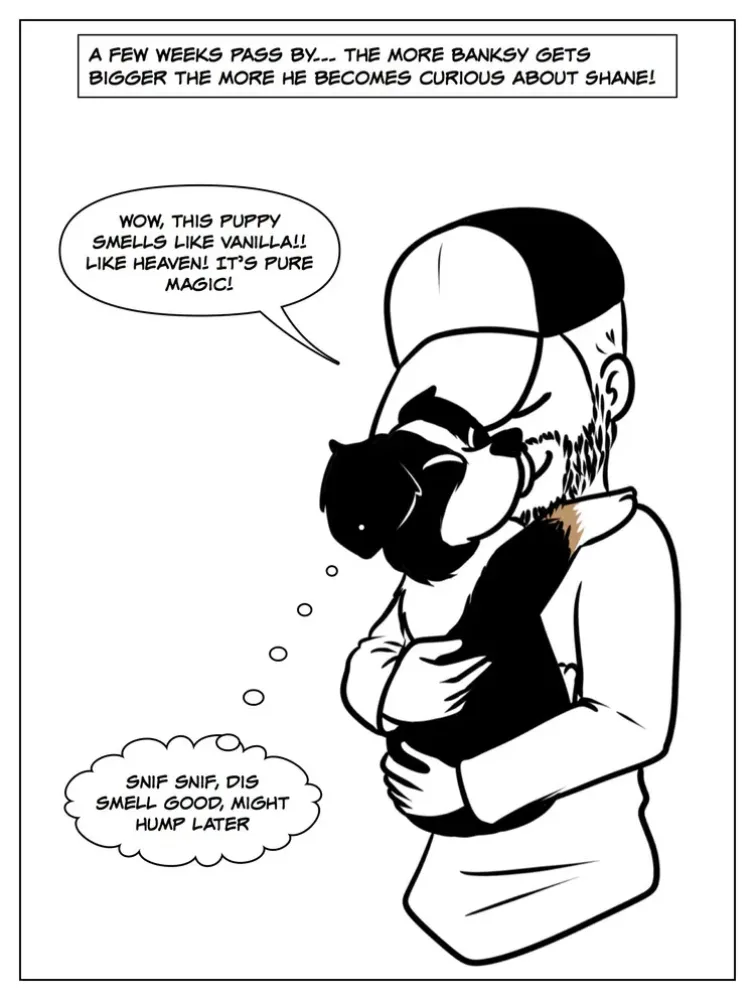 Banksy Shane ilmiofumetto.it sbarca in USA!First comics in english-american 3