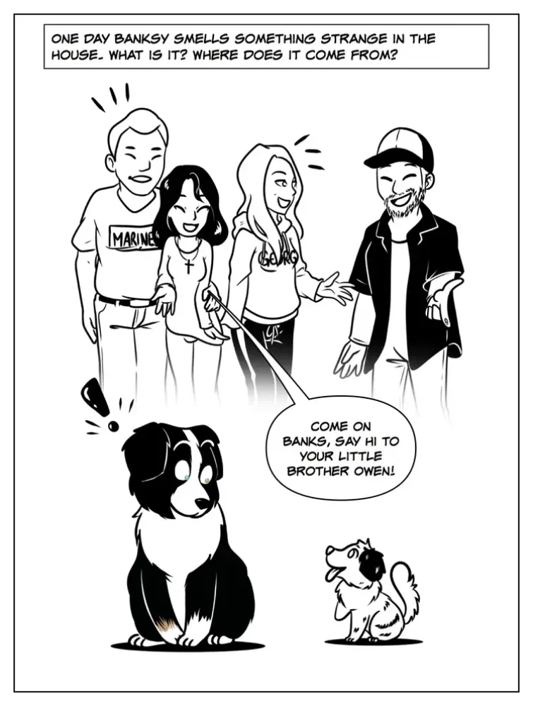 Banksy Shane ilmiofumetto.it sbarca in USA!First comics in english-american 5