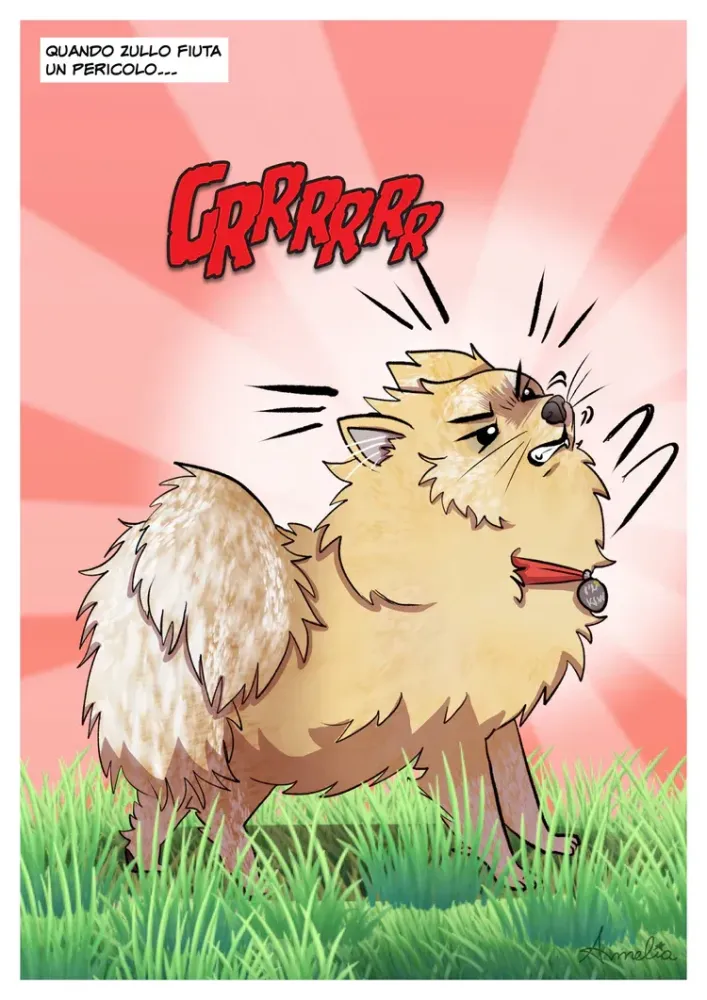Anche il tuo cagnolino può diventare un eroe a fumetti come Super Zullo 5